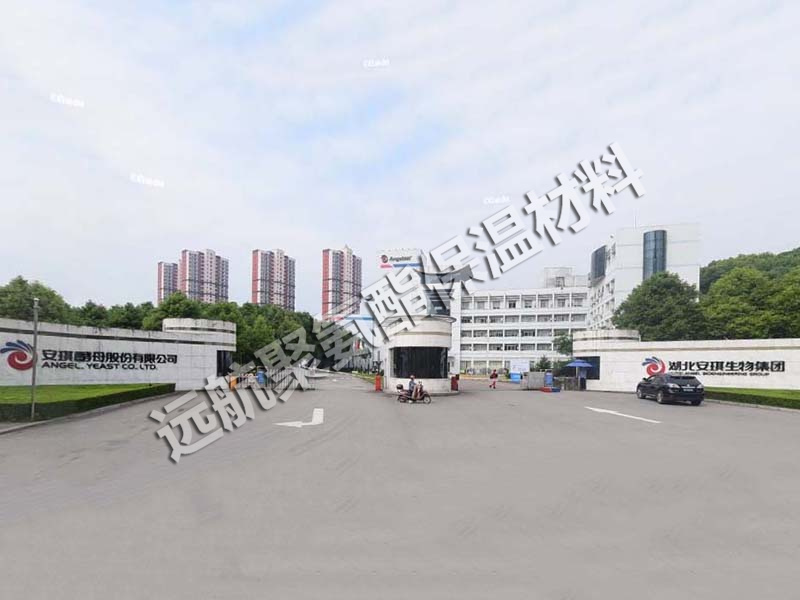 安琪酵母股份有限公司.jpg